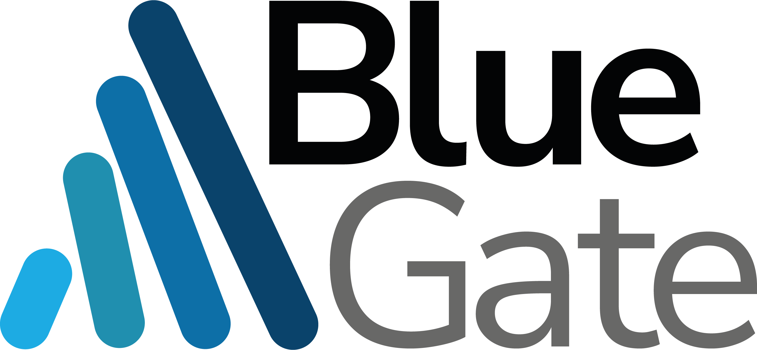 Logo Blue Gate