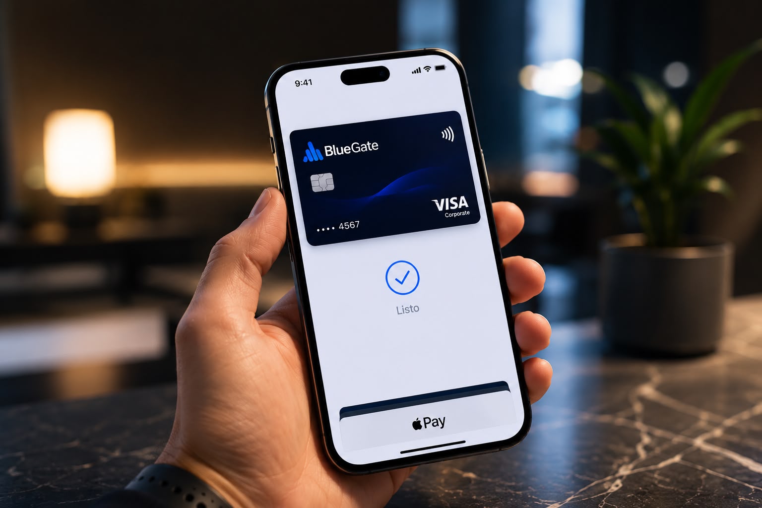 VISA BlueGate